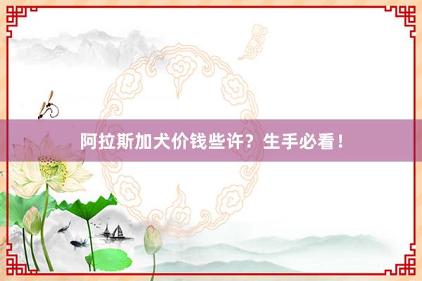 阿拉斯加犬价钱些许?生手必看!
