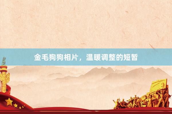金毛狗狗相片，温暖调整的短暂