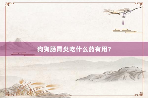狗狗肠胃炎吃什么药有用？