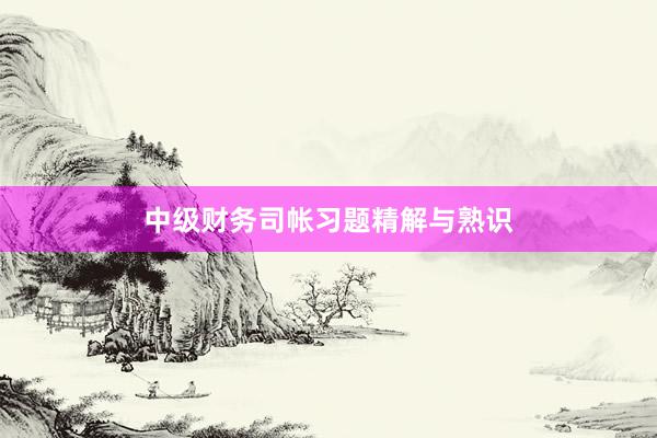 中级财务司帐习题精解与熟识