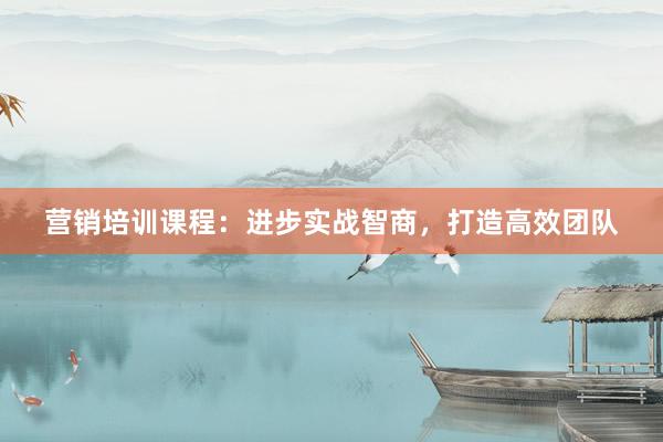 营销培训课程：进步实战智商，打造高效团队